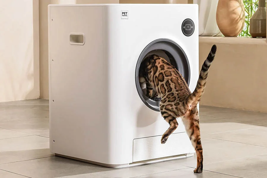best self cleaning cat litter