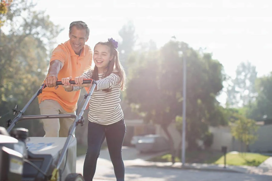 best cordless lawn